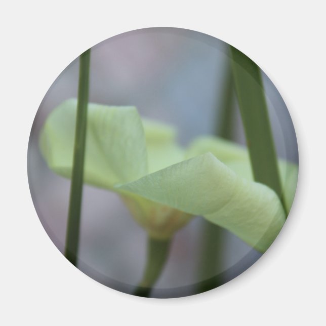 April 30 Flower in the Grass Magnet (Front)