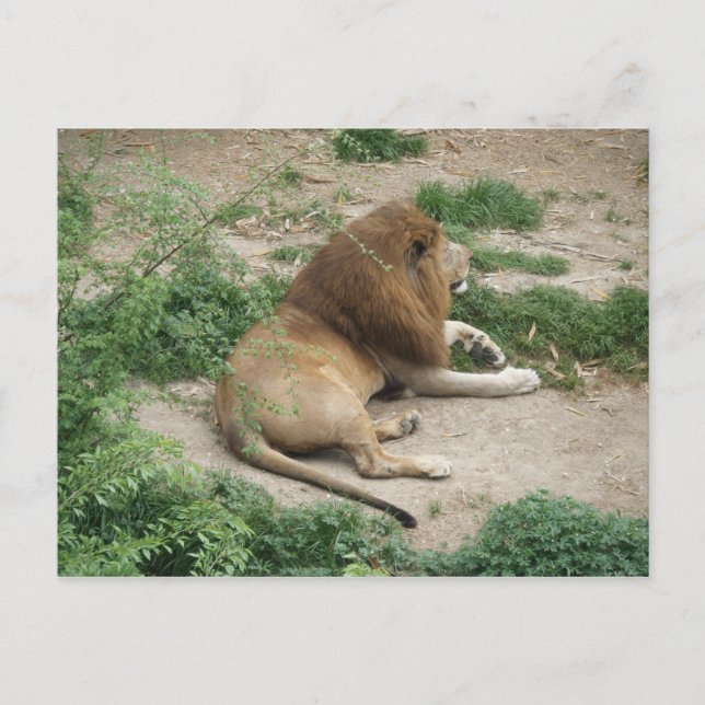 April 3 (1) Postcard (Front)