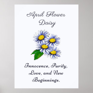 April Birth Month Flower Daisy Fresh and Simple  Poster