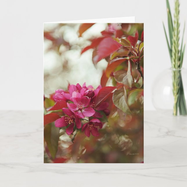 April Blossoms Blank Greeting Card (Front)