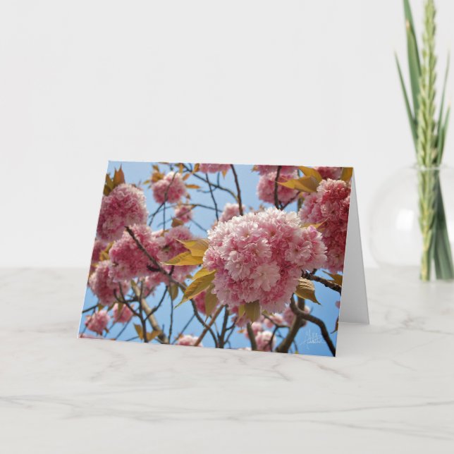 April Blossoms [Greeting Card] Card (Front)