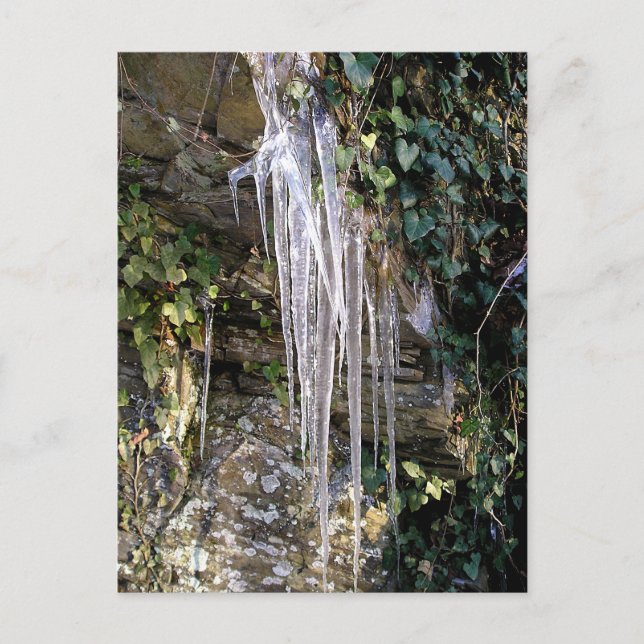 April Morning Postcard (Front)