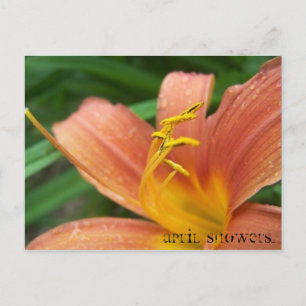 April Showers Postcard