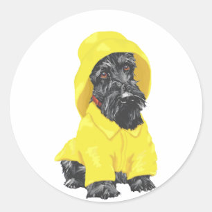 April Showers Scottish Terrier Classic Round Sticker