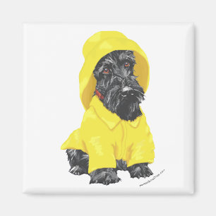April Showers Scottish Terrier Magnet
