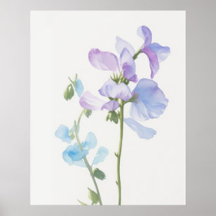April Sweet Pea Birth Flower Poster