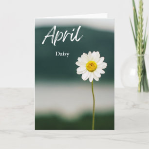 April White Daisy Birth Month Flower Birthday Card