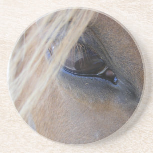 April's Eye Coaster