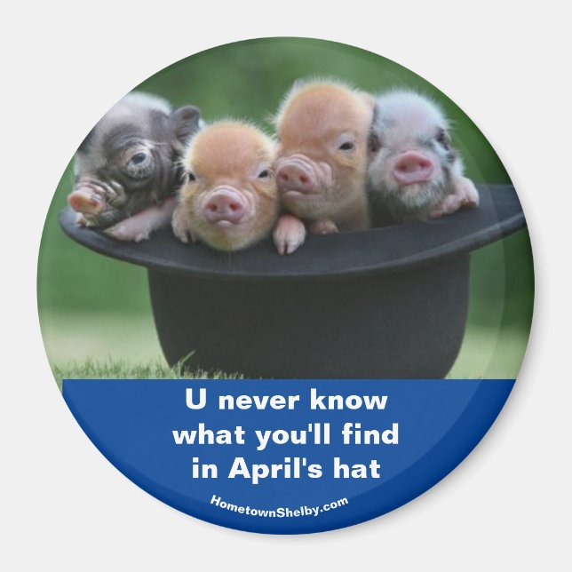 April's hat magnet (Front)