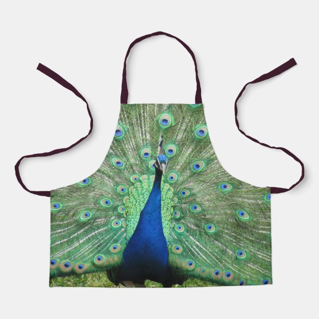Apron (ao) - Peacock Pride (Front)