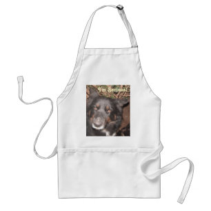 Apron Husky Collie Cross