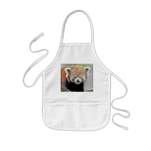 Apron Photo red panda , animals.