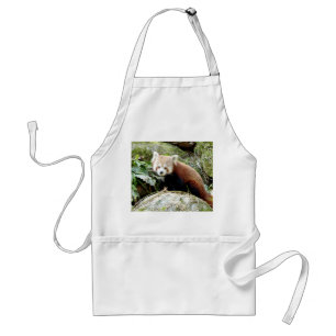 Apron Photo red panda , animals 0118.