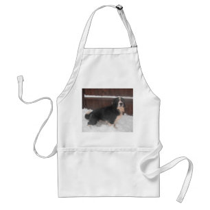 Apron Sprollie In The Snow