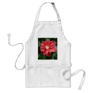 Aprons