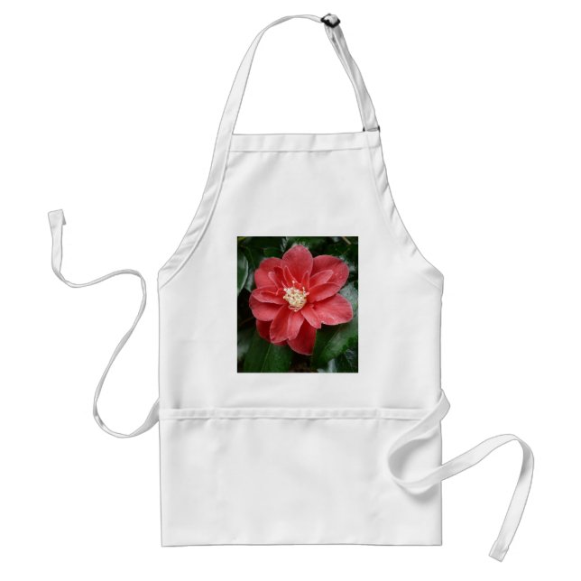 Aprons (Front)