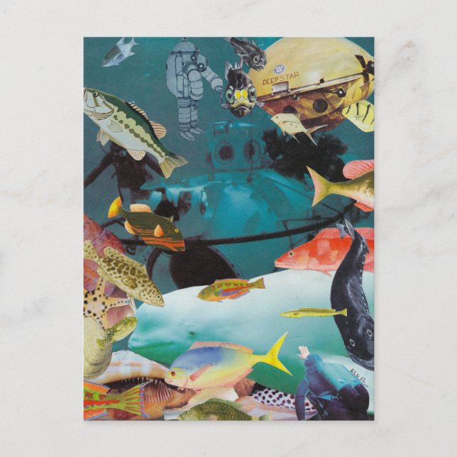 Aqua Adventures Postcard (Front)