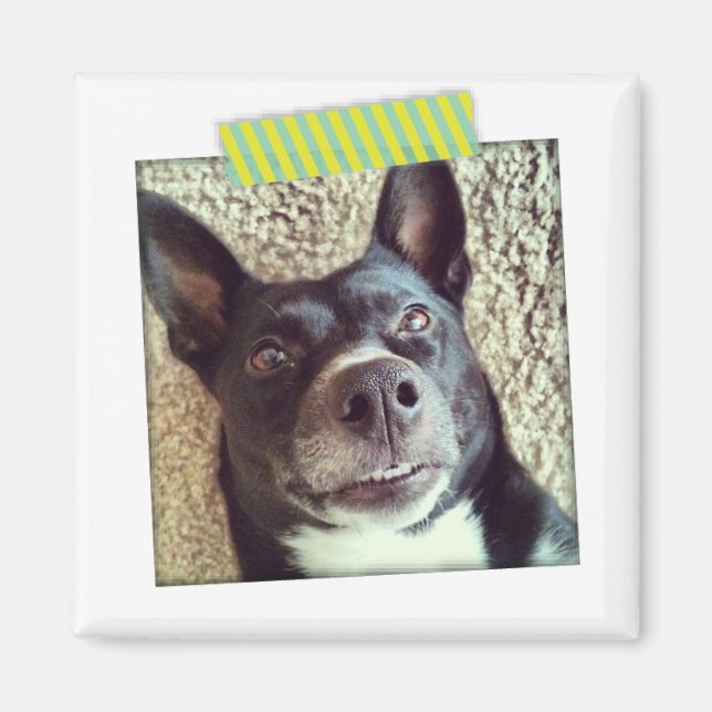 Aqua and Yellow Washi Tape Instagram Magnet (Front)