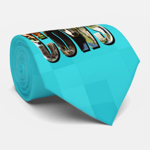 Aqua Blue Cows Logo With Cows, Tie