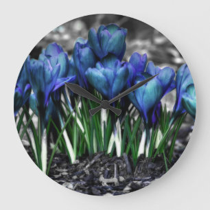 Aqua Blue Crocus Blooms Large Clock