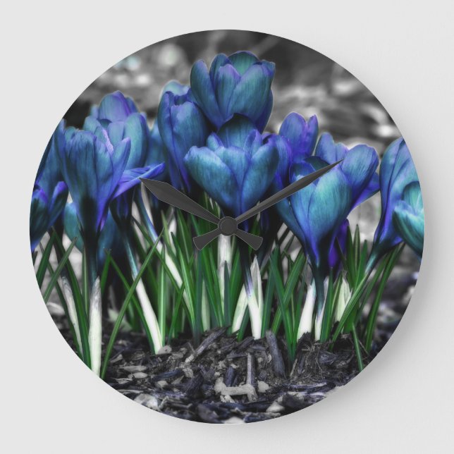 Aqua Blue Crocus Blooms Large Clock (Front)