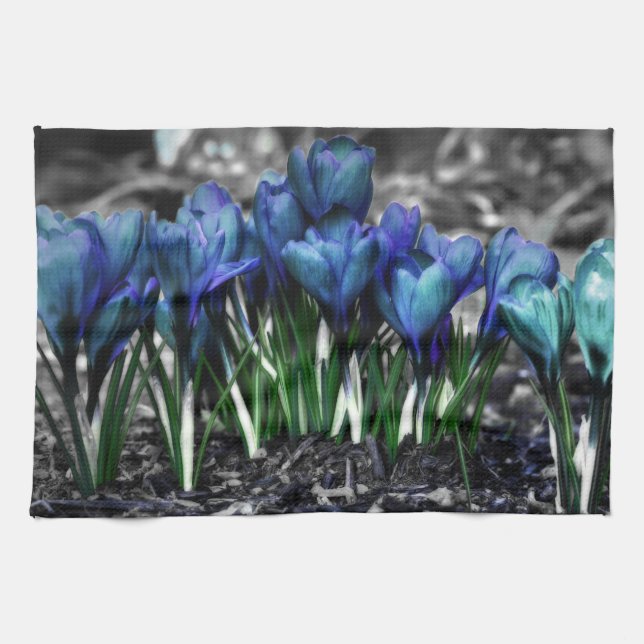 Aqua Blue Crocus Blooms Tea Towel (Horizontal)