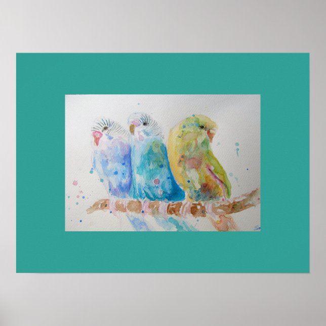 Aqua Budgie budgies cute Watercolor art Poster (Front)