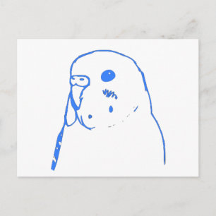 Aqua Budgie Portrait Postcard