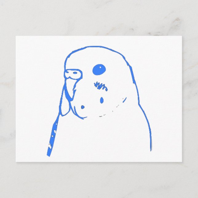 Aqua Budgie Portrait Postcard (Front)