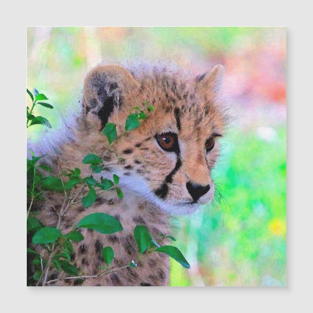 Aqua_Cheetah_20180102 (Front)