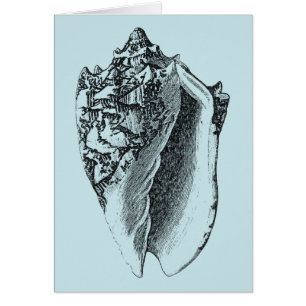 Aqua Conch Shell