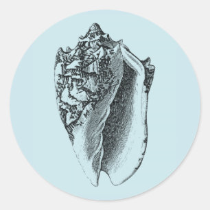 Aqua Conch Shell Classic Round Sticker