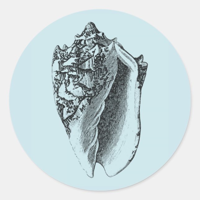 Aqua Conch Shell Classic Round Sticker (Front)