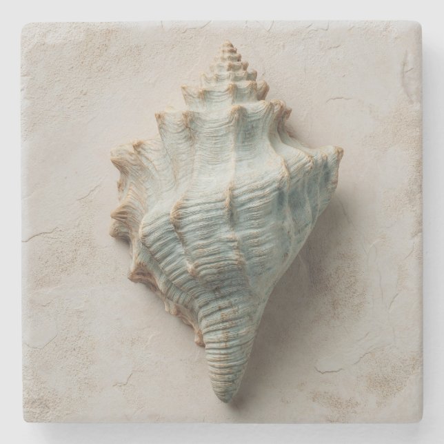 Aqua Conch Shell Coastal Art Stone Coaster (Front)