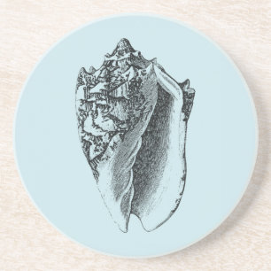 Aqua Conch Shell Coaster