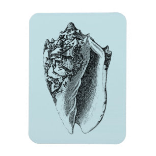 Aqua Conch Shell Magnet