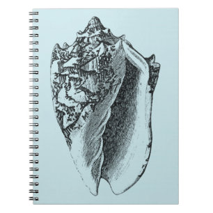 Aqua Conch Shell Notebook