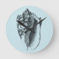 Aqua Conch Shell