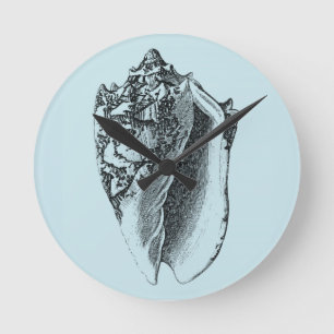 Aqua Conch Shell Round Clock