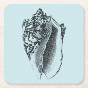 Aqua Conch Shell Square Paper Coaster