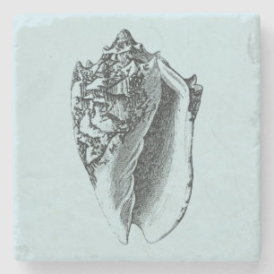 Aqua Conch Shell Stone Coaster