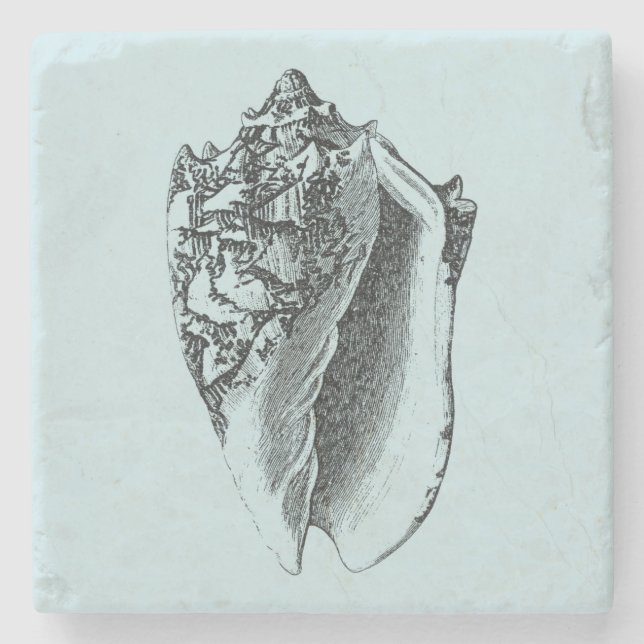 Aqua Conch Shell Stone Coaster (Front)