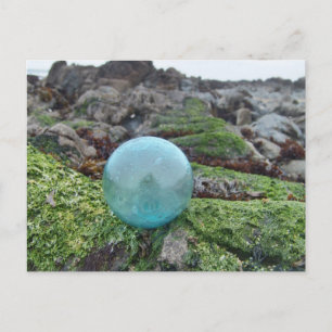 Aqua float on greenery at tide pool postcard