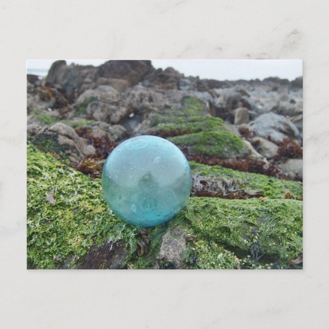 Aqua float on greenery at tide pool postcard (Front)