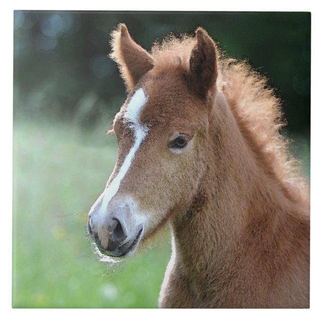 Aqua_Horse_20180101 Tile (Front)