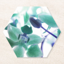 Aqua Orchid Print Paper Coaster