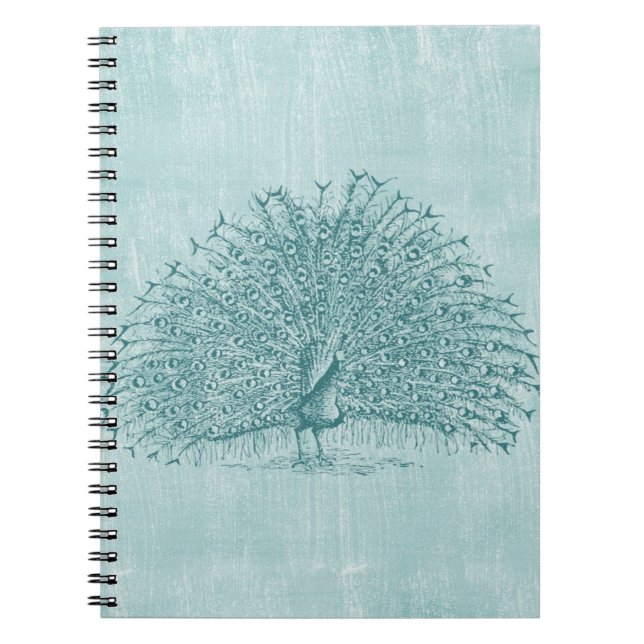 Aqua Peacock Notebook (Front)