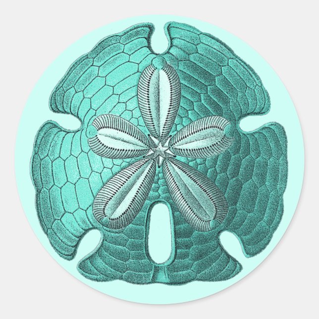 Aqua Sand Dollar Classic Round Sticker (Front)