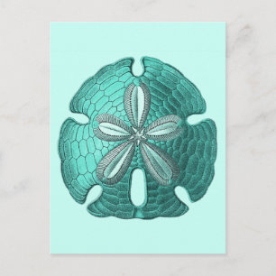 Aqua Sand Dollar Postcard