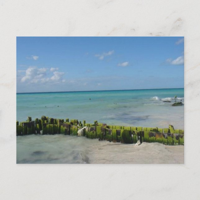 Aqua Serenity Postcard (Front)